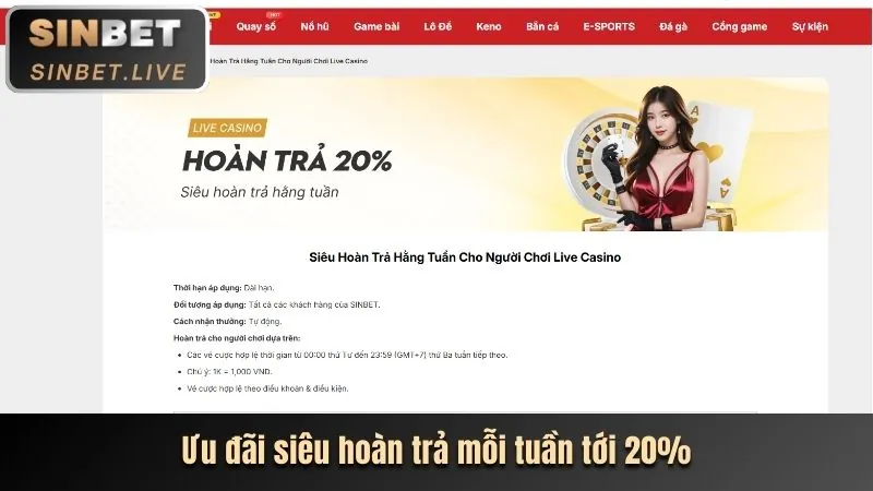 Hoàn trả hàng ngày/tuần